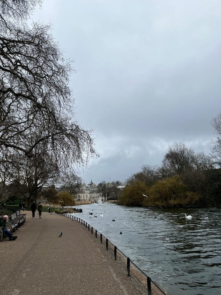 The pond in St. James' Park