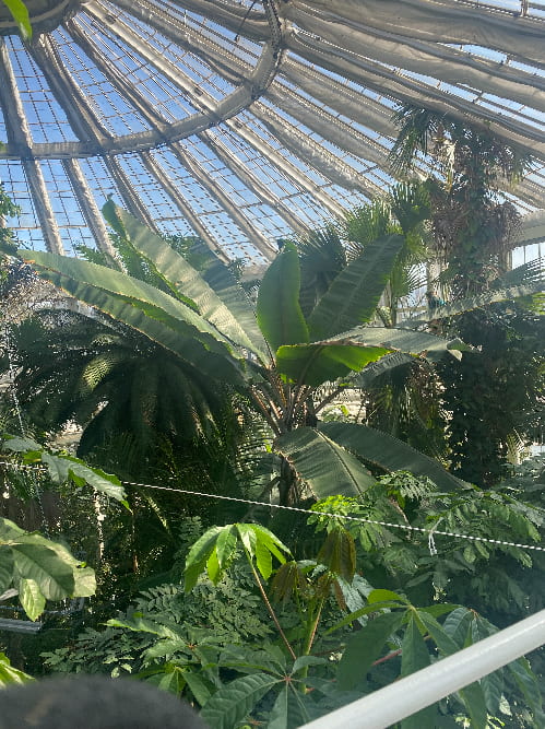 Copenhagen botanical gardens